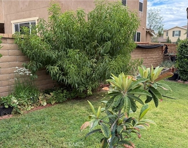 35081 Deer Spring - Photo Thumbnail 20