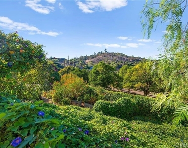 3945 Pala Mesa - Photo Thumbnail 69