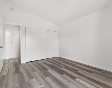 832 Coriander - Photo Thumbnail 11