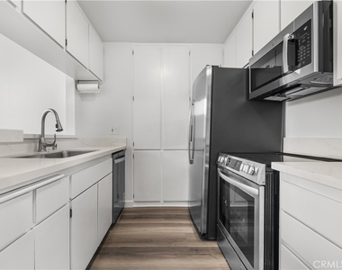 832 Coriander - Photo Thumbnail 8