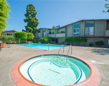 832 Coriander - Photo Thumbnail 14
