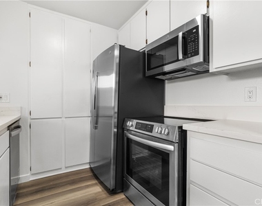 832 Coriander - Photo Thumbnail 7