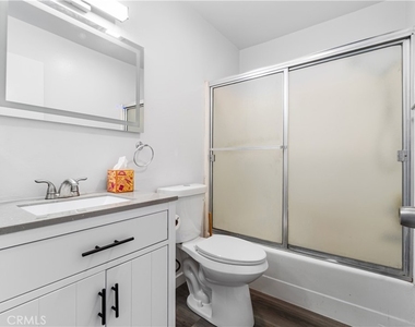 832 Coriander - Photo Thumbnail 10
