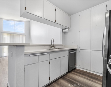 832 Coriander - Photo Thumbnail 6