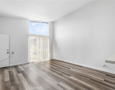 832 Coriander - Photo Thumbnail 2