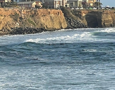 1641 Sunset Cliffs Blvd - Photo Thumbnail 7