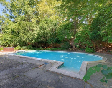 6 Lark Avenue - Photo Thumbnail 31