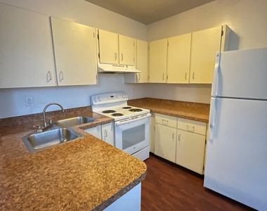 161 Regent Street - Photo Thumbnail 2