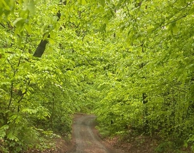 52 Blake Meadow Lane - Photo Thumbnail 13