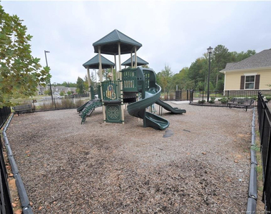 1107 Doe Blossom Lane - Photo Thumbnail 45
