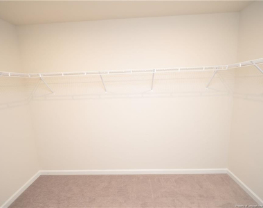 1107 Doe Blossom Lane - Photo Thumbnail 29