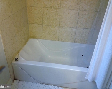 1219 Oronoco Street - Photo Thumbnail 25