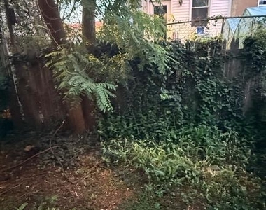 5449 Pine Street - Photo Thumbnail 15