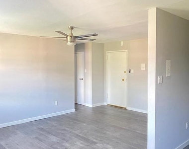 262-266 E Cliveden Street - Photo Thumbnail 4