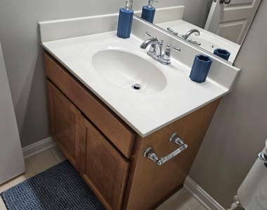 10568 Frasier Fir Lane - Photo Thumbnail 14