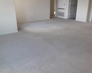 504 Coffee Berry Dr - Photo Thumbnail 22
