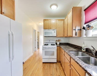 1346 W Cullerton Street - Photo Thumbnail 7