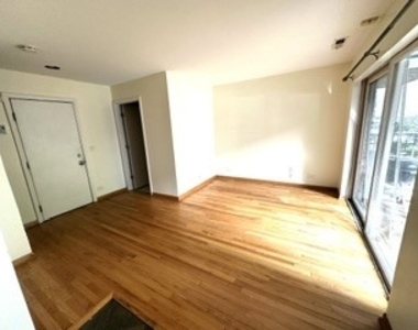 1826 S Michigan Avenue - Photo Thumbnail 4