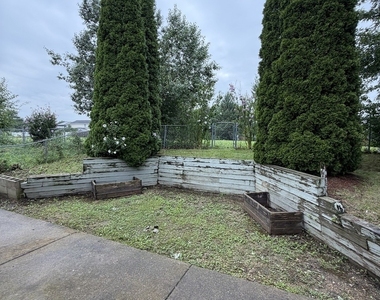 1009 Pheasant Run Lane - Photo Thumbnail 16