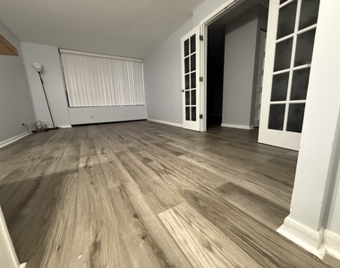 3930 N Pine Grove Avenue - Photo Thumbnail 6