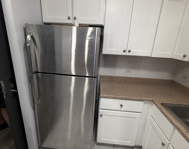 3930 N Pine Grove Avenue - Photo Thumbnail 8