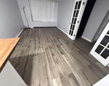 3930 N Pine Grove Avenue - Photo Thumbnail 4