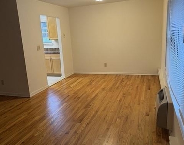 71a Hawthorne - Photo Thumbnail 13