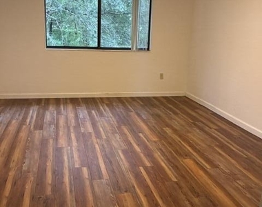 7821 Maplewood Drive - Photo Thumbnail 15