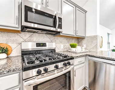 24310 Palomino Sage Trail - Photo Thumbnail 2