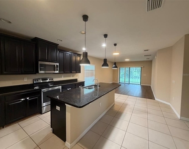 15213 Antilles Isle Lane - Photo Thumbnail 3
