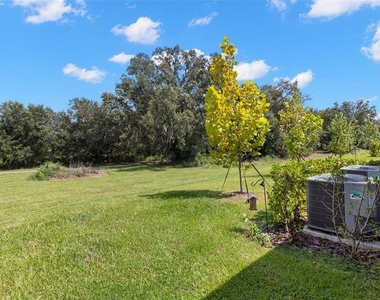 10324 Trumpet Honeysuckle Way - Photo Thumbnail 16