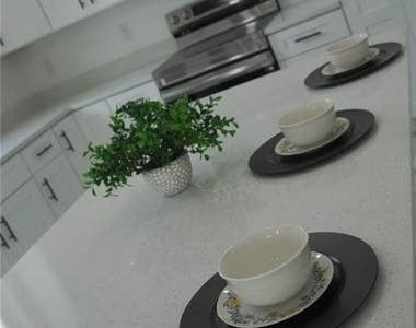 8924 N Orleans Avenue - Photo Thumbnail 59