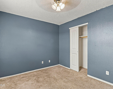 11412 Flor Veronica Drive - Photo Thumbnail 33