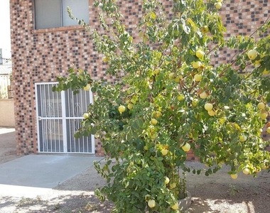 6611 Dawn Drive - Photo Thumbnail 30