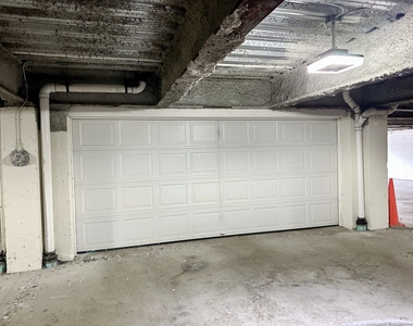14 Haviland Street - Photo Thumbnail 29