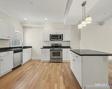 14 Haviland Street - Photo Thumbnail 12