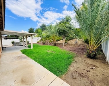 42538 Bradshaw - Photo Thumbnail 37
