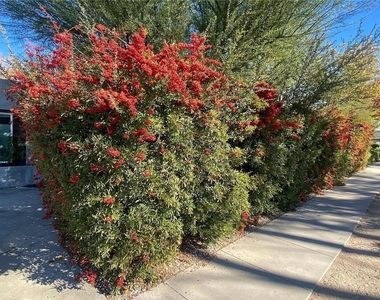 44701 Fig Avenue - Photo Thumbnail 4
