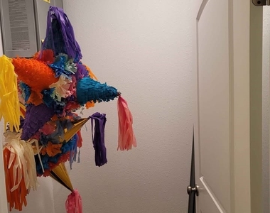 1711 Adler Court - Photo Thumbnail 6
