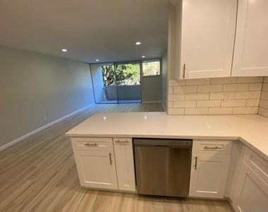 2510 Torrey Pines Rd - Photo Thumbnail 10