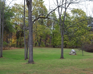 244 Lippincott Road - Photo Thumbnail 7
