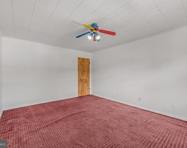268 Wilkes Street - Photo Thumbnail 25