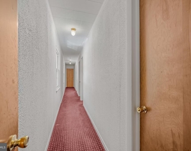 268 Wilkes Street - Photo Thumbnail 13