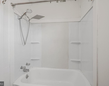 268 Wilkes Street - Photo Thumbnail 19