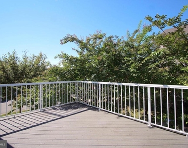 25073 Riding Center Drive - Photo Thumbnail 8