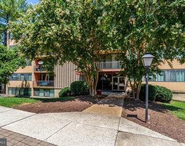 4 S Van Dorn Street - Photo Thumbnail 42