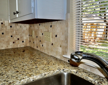 12001 Ladrido Ln - Photo Thumbnail 22