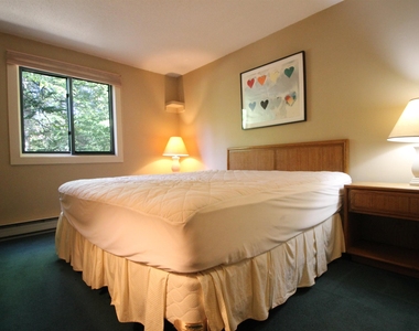 101 Snows Brook - Photo Thumbnail 9