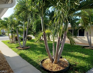 4808 Lucaya Drive - Photo Thumbnail 8