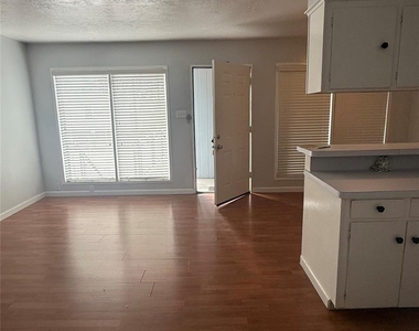 519 Branard St Street - Photo Thumbnail 12